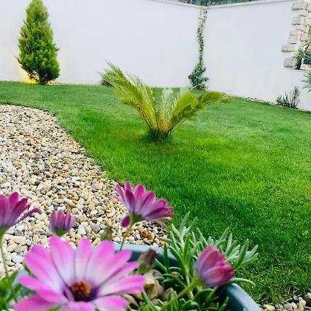 Casa Maya *